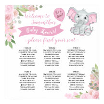 Es ist ein Mädchen! Babydusche 6 Tischübersicht