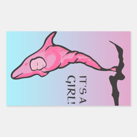 Es ist ein Mädchen! (Delfincoon) Rechteckiger Aufkleber (Vorderseite)