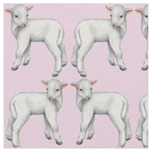 Es ist ein Mädchen-kleines Baby-Lamm-Gewebe Stoff (Nahaufnahme)