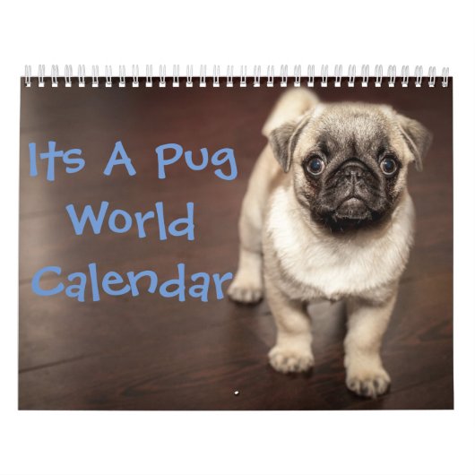 Es ist ein Mops-Kalender Kalender (Titelbild)