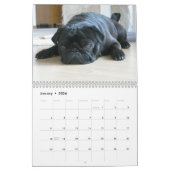 Es ist ein Mops-Kalender Kalender (Jan 2026)