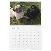Es ist ein Mops-Kalender Kalender (Mär 2027)