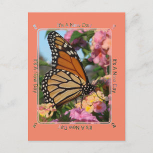 Es ist ein New Day Monarch Butterfly Postkarte