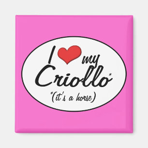 Es ist ein Pferd! I Liebe mein Criollo Magnet