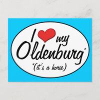 Es ist ein Pferd! I Liebe mein Oldenburg