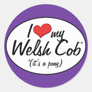 Es ist ein Pony! I Liebe mein Waliser-Pfeiler Runder Aufkleber