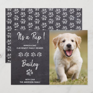 Es ist ein Puppenhund, der ein neues Tier hat Ankündigung