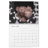 Es ist ein Rat-Weltkalender 2016 Kalender (Jan 2027)