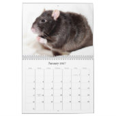 Es ist ein Ratten-Weltkalender 2016 Kalender (Jan 2027)