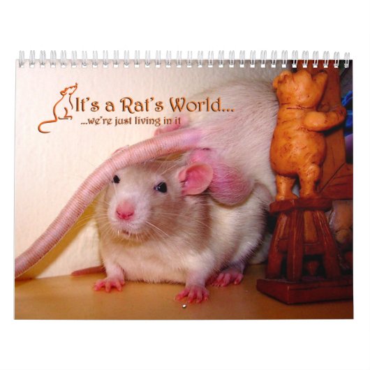 Es ist ein Ratten-Weltkalender 2016 Kalender (Titelbild)