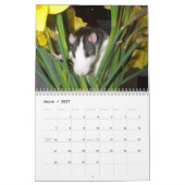 Es ist ein Ratten-Weltkalender 2016 Kalender (Mär 2027)