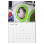 Es ist ein Ratten-Weltkalender 2016 Kalender (Jan 2027)