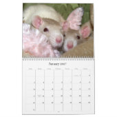 Es ist ein Ratten-Weltkalender 2016 Kalender (Jan 2027)