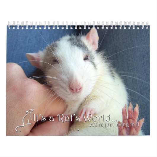 Es ist ein Ratten-Weltkalender 2016 Kalender (Titelbild)