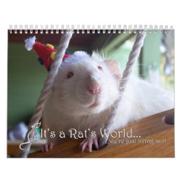 Es ist ein Ratten-Weltkalender 2016 Kalender