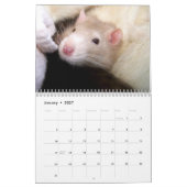 Es ist ein Ratten-Weltkalender 2016 Kalender (Jan 2027)