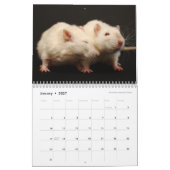 Es ist ein Rattenweltkalender Kalender (Jan 2027)
