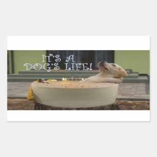 Es ist ein rechteckiger Aufkleber für Hunde