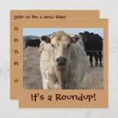 Es ist ein Roundup! Kühe - Rührei am Rind Einladung (Vorne/Hinten)