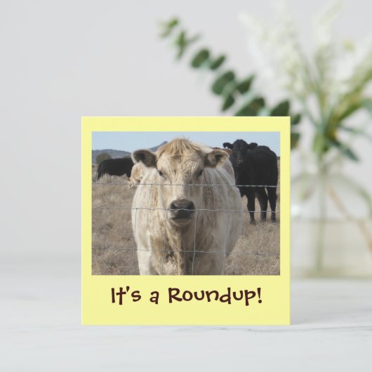 Es ist ein Roundup! Rinder-Drive-Celebration Einladung (Stehend Vorderseite)