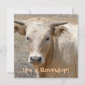 Es ist ein Roundup! Rinder - Western Style Celebra Einladung (Vorderseite)
