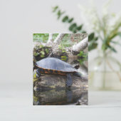 Es ist ein Schildkrötenleben Postkarte (Stehend Vorderseite)