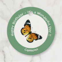 Es ist ein Schlichtes Tiger/African Queen Butterfl