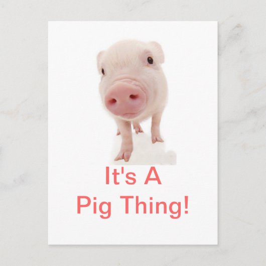 Es ist ein Schweinefick Postkarte (Vorderseite)