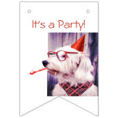 Es ist ein Spaß für Party Wimpelkette (Erste Fahne)