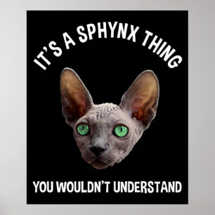 Es ist ein Sphynx-Ding - man würde es nicht verste Poster