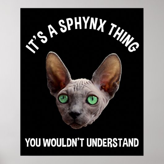 Es ist ein Sphynx-Ding - man würde es nicht verste Poster (Vorne)