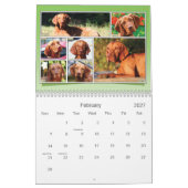 Es ist ein Vizsla! Kalender (Feb 2027)