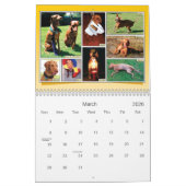 Es ist ein Vizsla! Kalender (Mär 2026)
