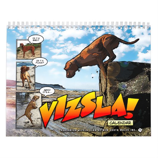 Es ist ein Vizsla! Kalender (Titelbild)