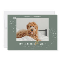 Es ist ein WonderFUR Life Pet Foto Sage Weihnachte