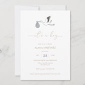 Es ist eine Baby Stork Baby Dusche Einladung (Vorderseite)