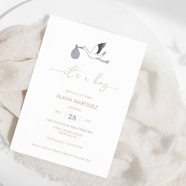 Es ist eine Baby Stork Baby Dusche Einladung