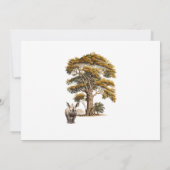 Es ist eine Boy Safari Baby Shower Einladung (Rückseite)