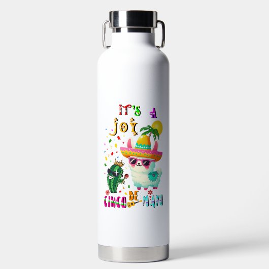 Es ist eine Freude Cinco De Mayo Trinkflasche (Vorderseite)