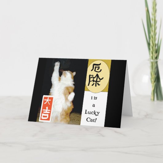 Es ist eine glückliche Katze, danke (Vorderseite)