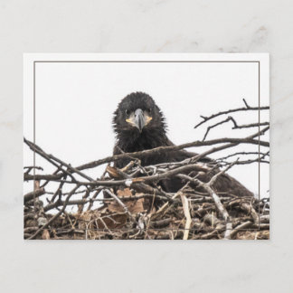 Es ist eine große neue Welt Postkarte