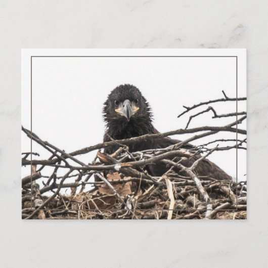 Es ist eine große neue Welt Postkarte (Vorderseite)