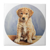 Es ist eine Keramik. Fliese (Vorderseite)