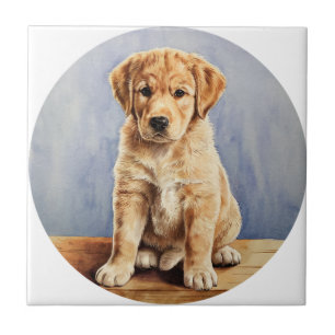 Es ist eine Keramik. Fliese