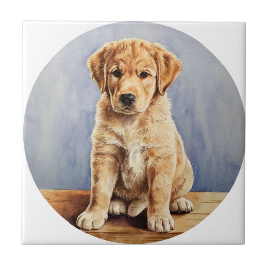 Es ist eine Keramik. Fliese (Vorderseite)