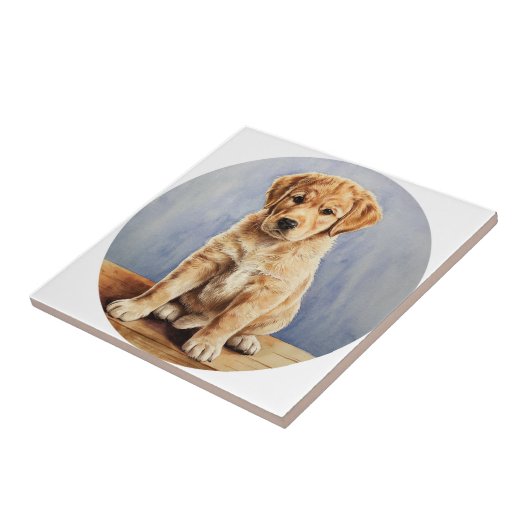 Es ist eine Keramik. Fliese (Seite)