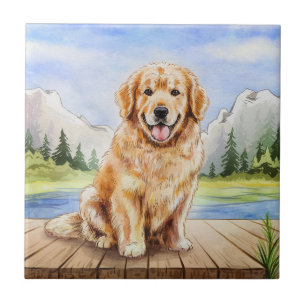 Es ist eine Keramik. Fliese