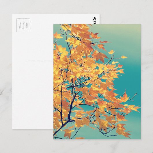 Es ist eine Leaf-Sache 1 Postkarte (Vorne/Hinten)