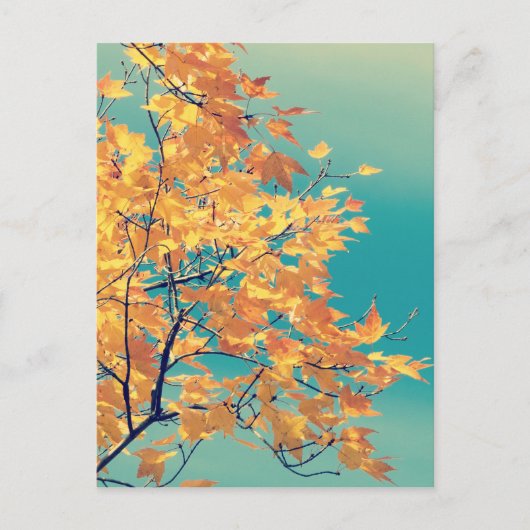 Es ist eine Leaf-Sache 1 Postkarte (Vorderseite)