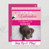 Es ist eine "New Pet"-Ankündigung Postkarte (Vorne/Hinten)